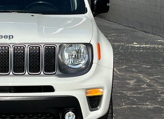 
 Jeep Renegade full									