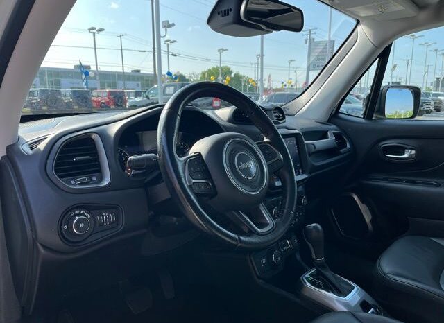 
 Jeep Renegade full									