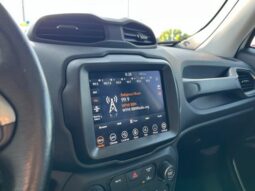 
 Jeep Renegade full									