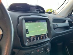 
 Jeep Renegade full									