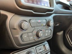 
 Jeep Renegade full									