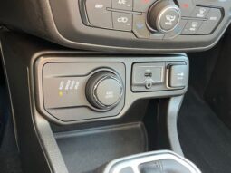 
 Jeep Renegade full									