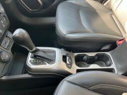 
 Jeep Renegade full									
