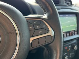 
 Jeep Renegade full									