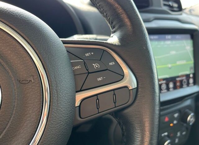 
 Jeep Renegade full									