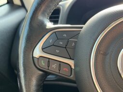 
 Jeep Renegade full									