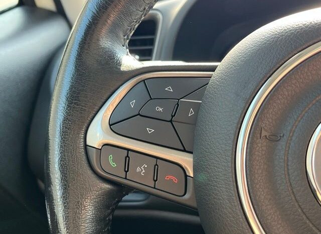 
 Jeep Renegade full									