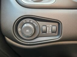 
 Jeep Renegade full									
