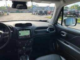 
 Jeep Renegade full									