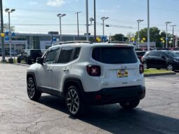 
 Jeep Renegade full									
