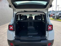 
 Jeep Renegade full									