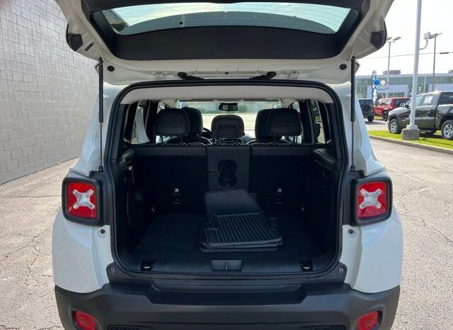 
 Jeep Renegade full									
