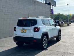 
 Jeep Renegade full									