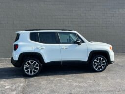 
 Jeep Renegade full									