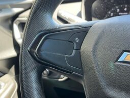 
 Chevrolet TrailBlazer full									