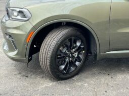 
 Dodge Durango full									