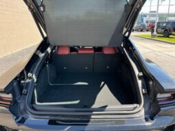 
 Dodge Charger full									