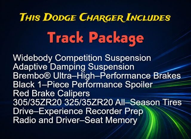 
 Dodge Charger full									
