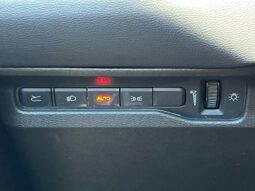 
 Dodge Charger full									