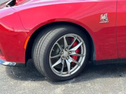 
 Dodge Charger full									
