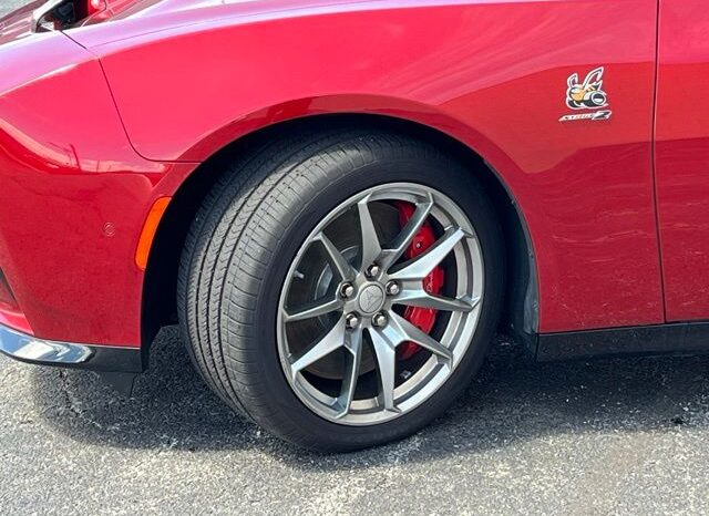 
 Dodge Charger full									