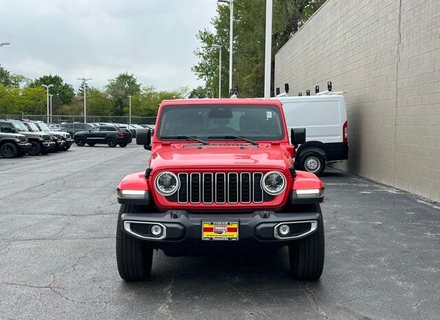 
 Jeep Wrangler full									