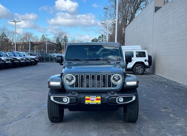 
 Jeep Wrangler full									