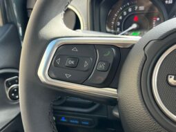
 Jeep Wrangler full									