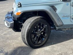 
 Jeep Wrangler full									