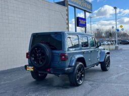 
 Jeep Wrangler full									