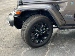 
 Jeep Wrangler full									
