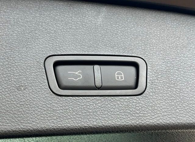 
 Dodge Hornet full									