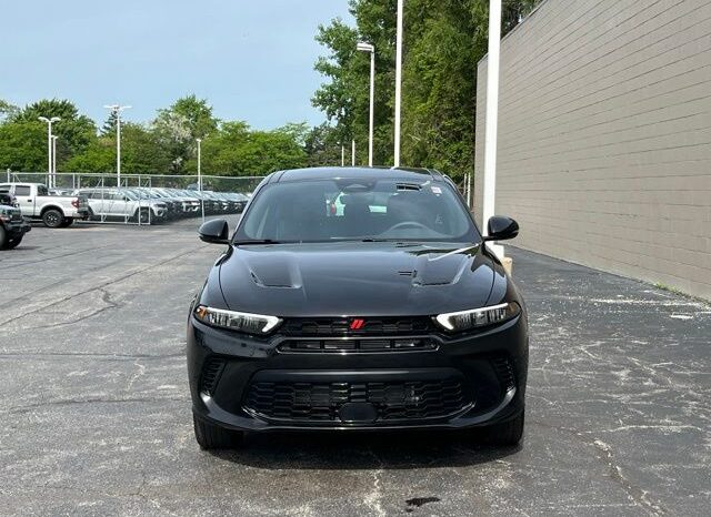 
 Dodge Hornet full									