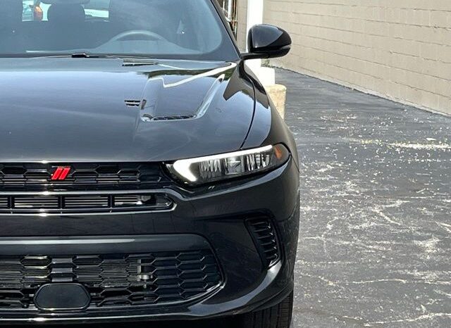 
 Dodge Hornet full									