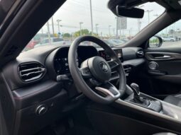 Dodge Hornet full