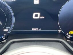 Dodge Hornet full