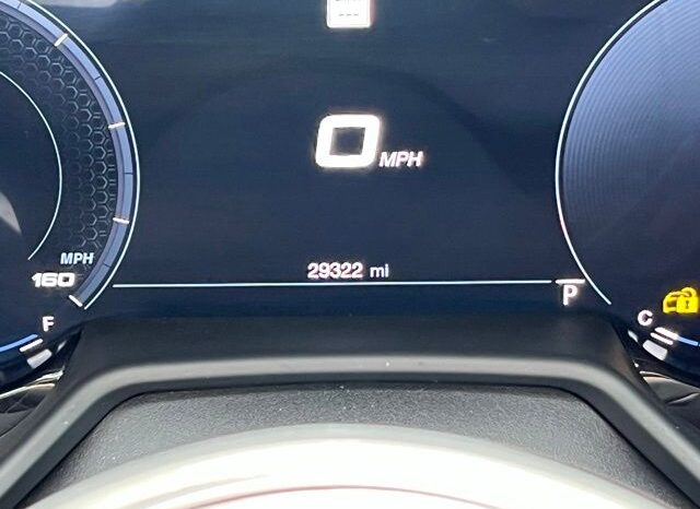 
 Dodge Hornet full									