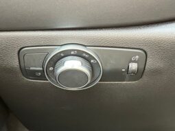 Dodge Hornet full