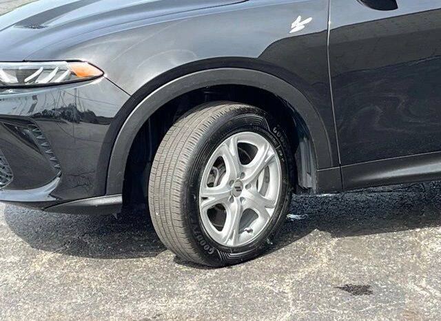 
 Dodge Hornet full									