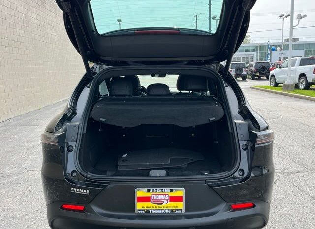 
 Dodge Hornet full									