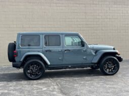 
 Jeep Wrangler full									