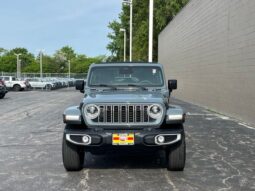 
 Jeep Wrangler full									