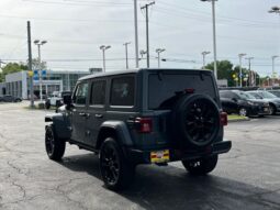 
 Jeep Wrangler full									