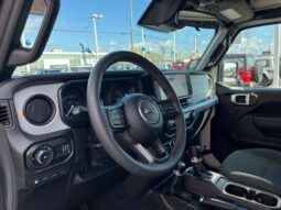 Jeep Wrangler full