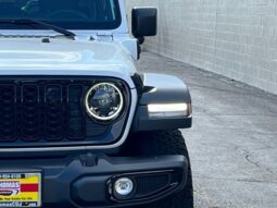 Jeep Wrangler full