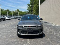
 Dodge Hornet full									