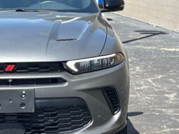 
 Dodge Hornet full									