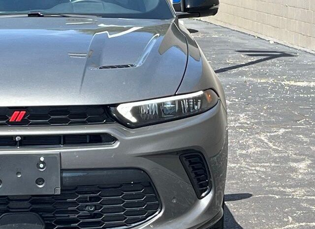 
 Dodge Hornet full									