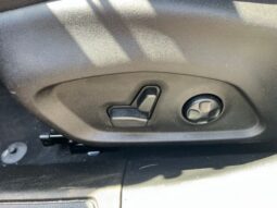 
 Dodge Hornet full									