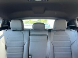 
 Dodge Hornet full									